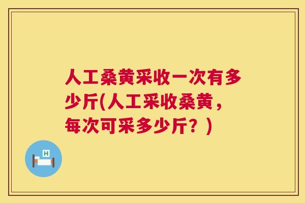 人工桑黄采收一次有多少斤(人工采收桑黄，每次可采多少斤？)