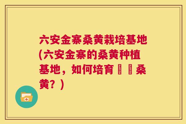 六安金寨桑黄栽培基地(六安金寨的桑黄种植基地，如何培育優質桑黄？)