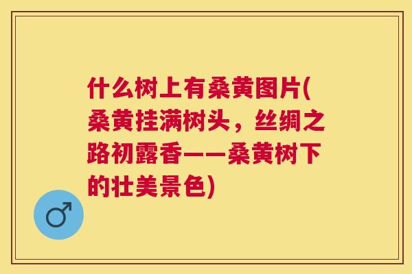 什么树上有桑黄图片(桑黄挂满树头，丝绸之路初露香——桑黄树下的壮美景色)