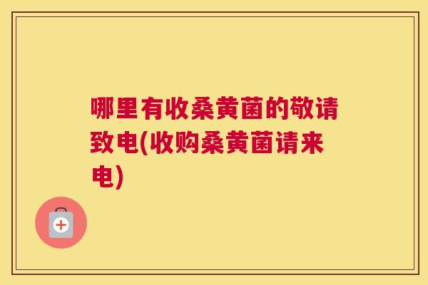 哪里有收桑黄菌的敬请致电(收购桑黄菌请来电)