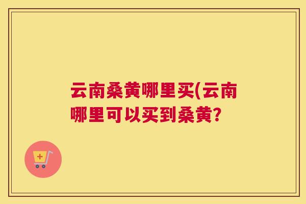 云南桑黄哪里买(云南哪里可以买到桑黄？