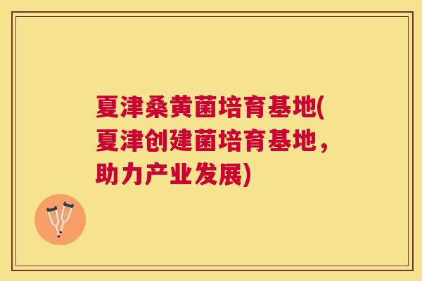 夏津桑黄菌培育基地(夏津创建菌培育基地,助力产业发展) 夏津桑黄菌培育基地(夏津创建菌培育基地,助力产业发展)