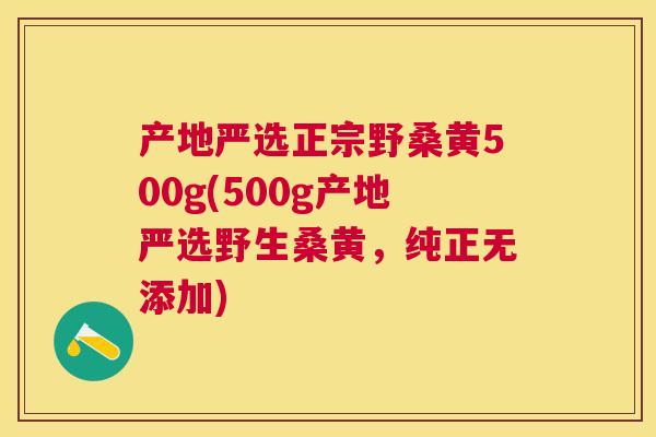 产地严选正宗野桑黄500g(500g产地严选野生桑黄，纯正无添加)