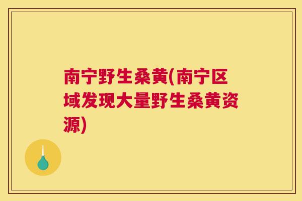 南宁野生桑黄(南宁区域发现大量野生桑黄资源)