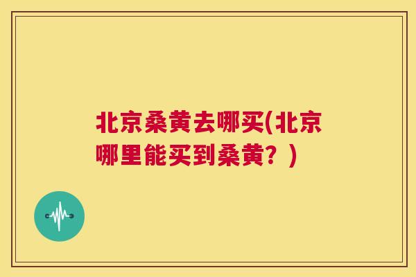 北京桑黄去哪买(北京哪里能买到桑黄？)