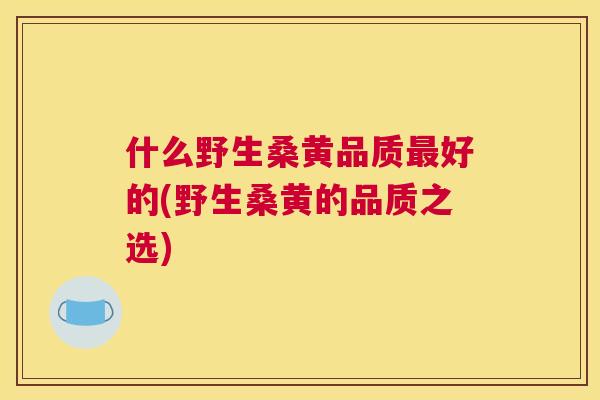 什么野生桑黄品质好的(野生桑黄的品质之选)