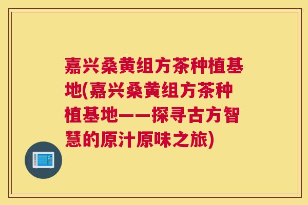 嘉兴桑黄组方茶种植基地(嘉兴桑黄组方茶种植基地——探寻古方智慧的原汁原味之旅)