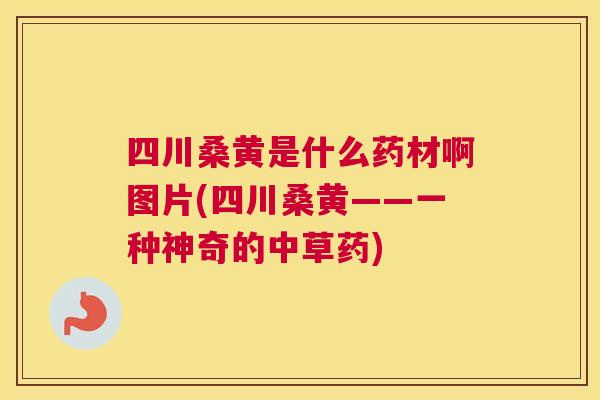 四川桑黄是什么药材啊图片(四川桑黄——一种神奇的中草药)