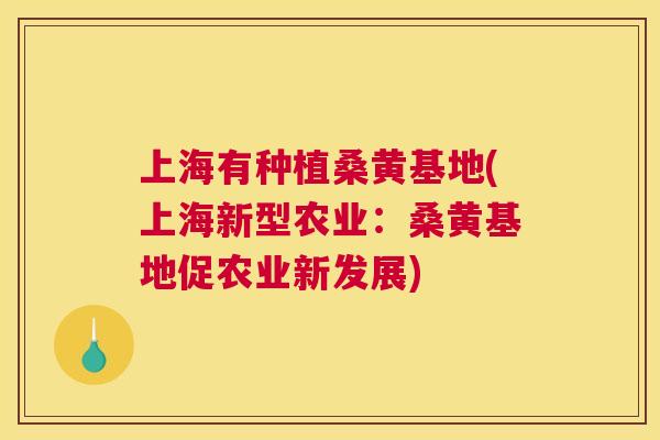 上海有种植桑黄基地(上海新型农业：桑黄基地促农业新发展)