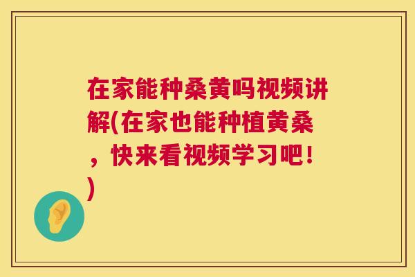 在家能种桑黄吗视频讲解(在家也能种植黄桑，快来看视频学习吧！)