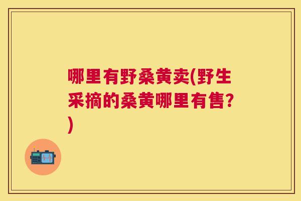 哪里有野桑黄卖(野生采摘的桑黄哪里有售？)