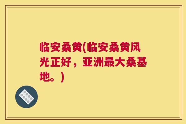 临安桑黄(临安桑黄风光正好，亚洲大桑基地。)