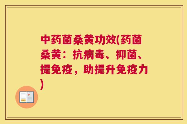 菌桑黄功效(药菌桑黄：抗、抑菌、提，助提升力)