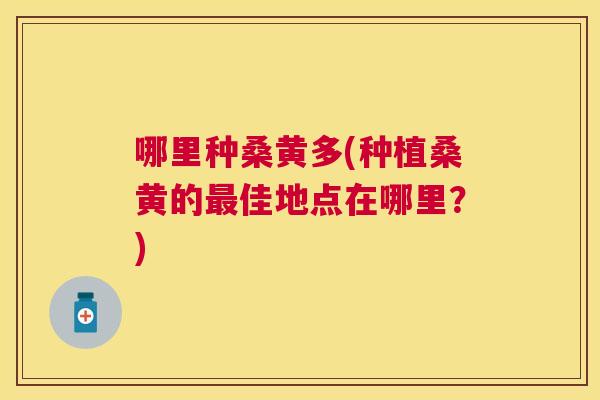哪里种桑黄多(种植桑黄的佳地点在哪里？)