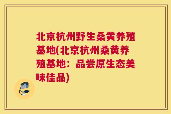 北京杭州野生桑黄养殖基地(北京杭州桑黄养殖基地：品尝原生态美味佳品)
