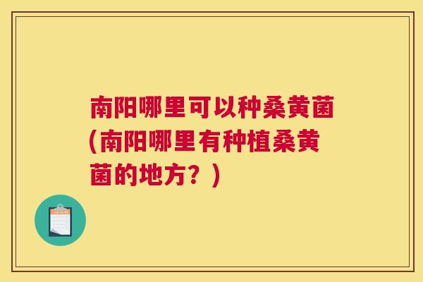 南阳哪里可以种桑黄菌(南阳哪里有种植桑黄菌的地方？)