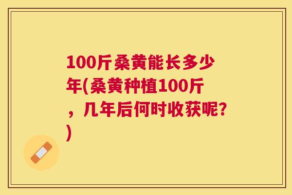 100斤桑黄能长多少年(桑黄种植100斤，几年后何时收获呢？)