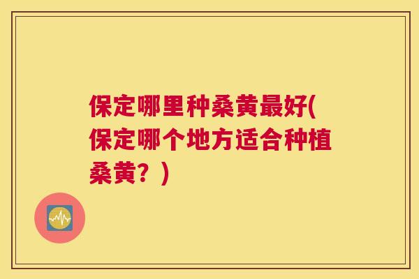 保定哪里种桑黄好(保定哪个地方适合种植桑黄？)