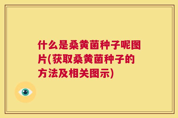 什么是桑黄菌种子呢图片(获取桑黄菌种子的方法及相关图示)