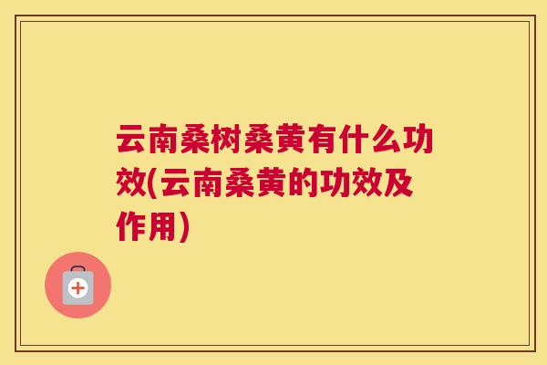 云南桑树桑黄有什么功效(云南桑黄的功效及作用)