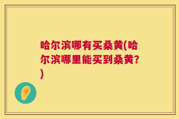 哈尔滨哪有买桑黄(哈尔滨哪里能买到桑黄？)