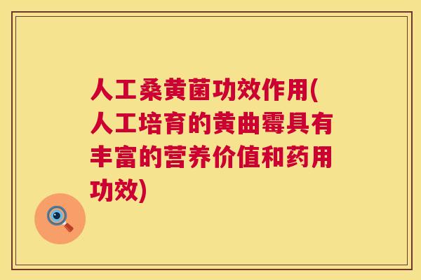 人工桑黄菌功效作用(人工培育的黄曲霉具有丰富的营养价值和药用功效)