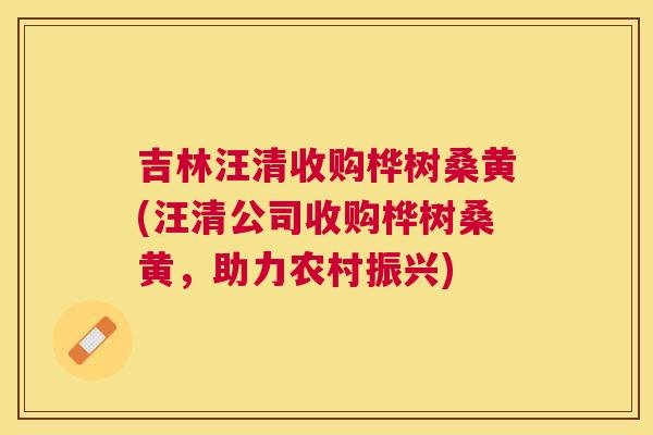 吉林汪清收购桦树桑黄(汪清公司收购桦树桑黄，助力农村振兴)