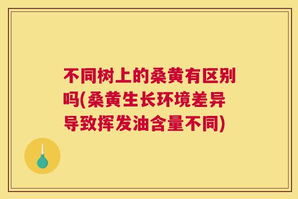 不同树上的桑黄有区别吗(桑黄生长环境差异导致挥发油含量不同)