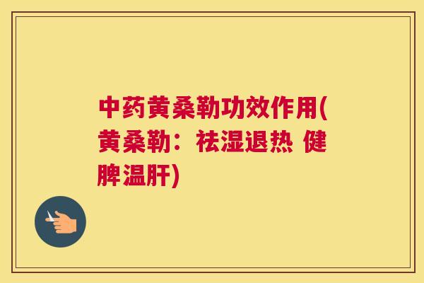 黄桑勒功效作用(黄桑勒：祛湿退热 健脾温)