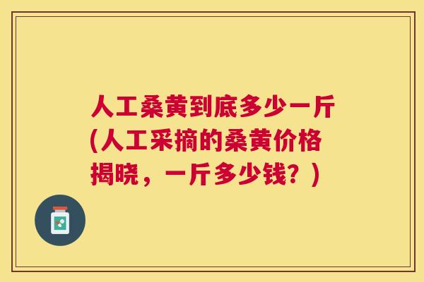 人工桑黄到底多少一斤(人工采摘的桑黄价格揭晓，一斤多少钱？)