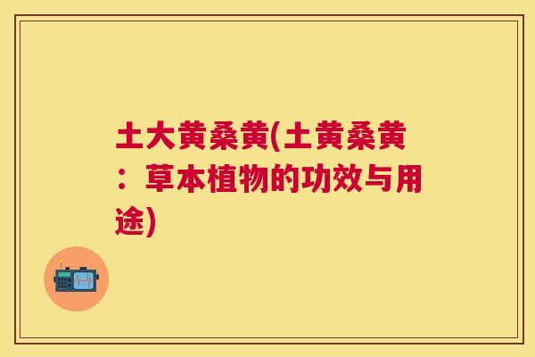 土大黄桑黄(土黄桑黄：草本植物的功效与用途)