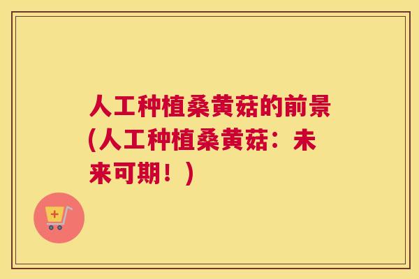 人工种植桑黄菇的前景(人工种植桑黄菇：未来可期！)