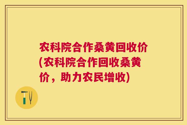 农科院合作桑黄回收价(农科院合作回收桑黄价，助力农民增收)