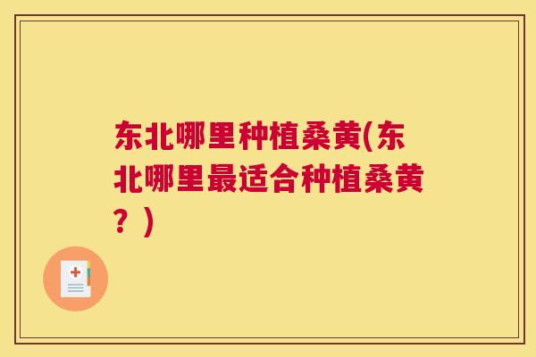 东北哪里种植桑黄(东北哪里适合种植桑黄？)