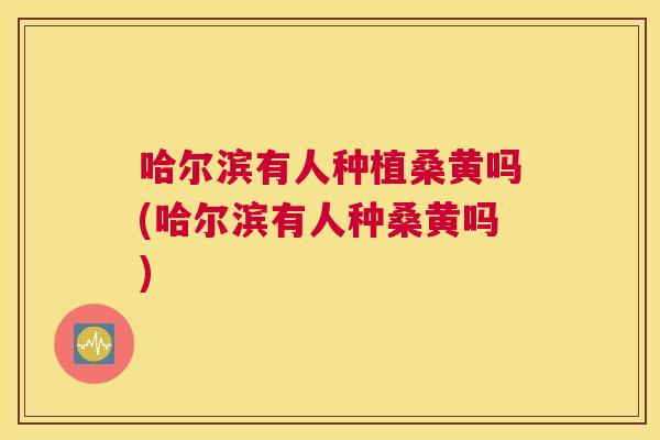 哈尔滨有人种植桑黄吗(哈尔滨有人种桑黄吗)