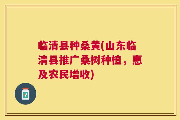 临清县种桑黄(山东临清县推广桑树种植，惠及农民增收)