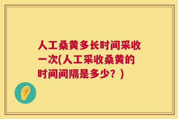 人工桑黄多长时间采收一次(人工采收桑黄的时间间隔是多少？)