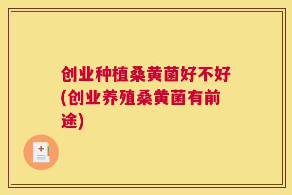 创业种植桑黄菌好不好(创业养殖桑黄菌有前途)