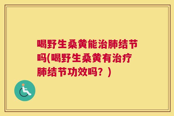 喝野生桑黄能结节吗(喝野生桑黄有结节功效吗？)