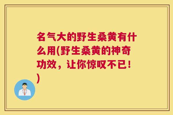 名气大的野生桑黄有什么用(野生桑黄的神奇功效，让你惊叹不已！)