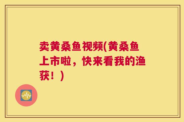 卖黄桑鱼视频(黄桑鱼上市啦，快来看我的渔获！)