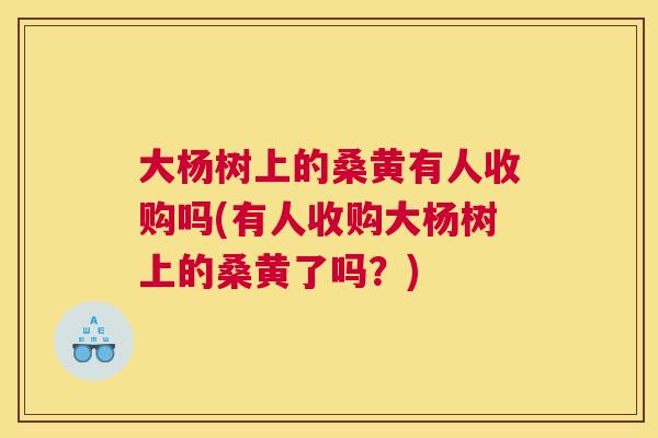 大杨树上的桑黄有人收购吗(有人收购大杨树上的桑黄了吗？)