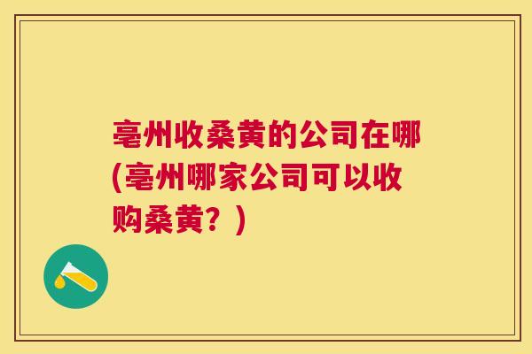 亳州收桑黄的公司在哪(亳州哪家公司可以收购桑黄？)