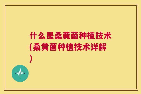 什么是桑黄菌种植技术(桑黄菌种植技术详解)