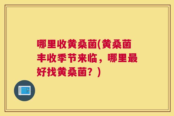 哪里收黄桑菌(黄桑菌丰收季节来临，哪里好找黄桑菌？)