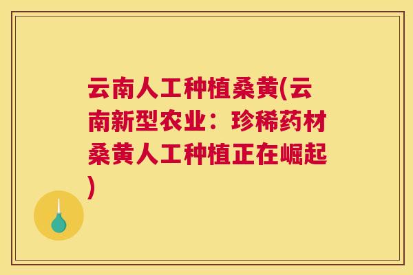 云南人工种植桑黄(云南新型农业：珍稀药材桑黄人工种植正在崛起)