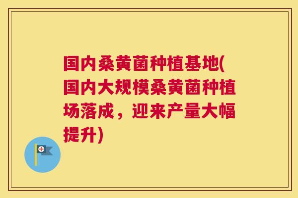 国内桑黄菌种植基地(国内大规模桑黄菌种植场落成，迎来产量大幅提升)
