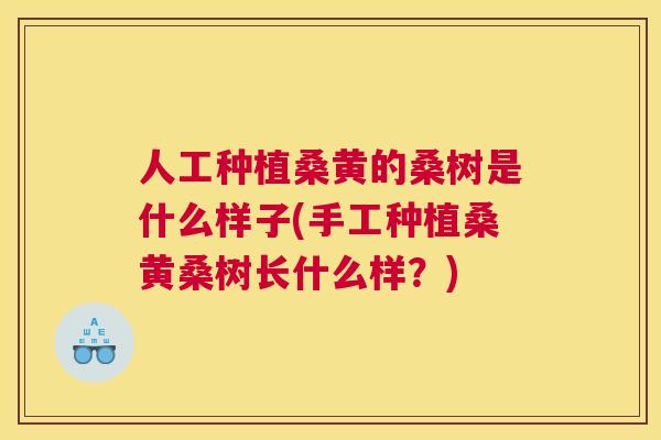 人工种植桑黄的桑树是什么样子(手工种植桑黄桑树长什么样？)