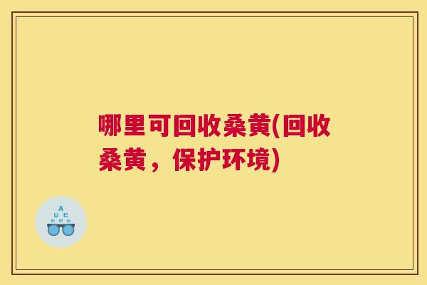哪里可回收桑黄(回收桑黄，保护环境)
