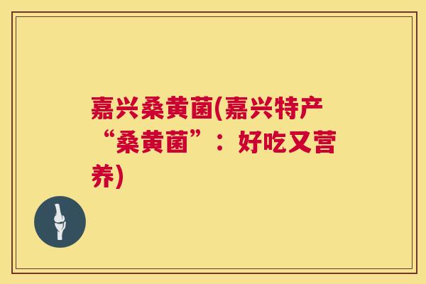 嘉兴桑黄菌(嘉兴特产“桑黄菌”:好吃又营养) 嘉兴桑黄菌(嘉兴特产“桑黄菌”:好吃又营养)